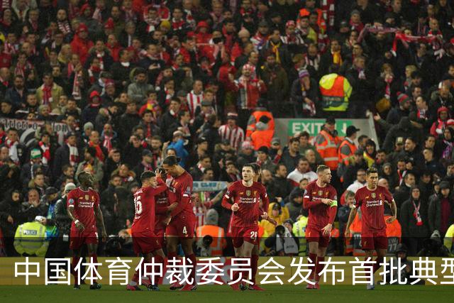 中国体育仲裁委员会发布首批典型案例