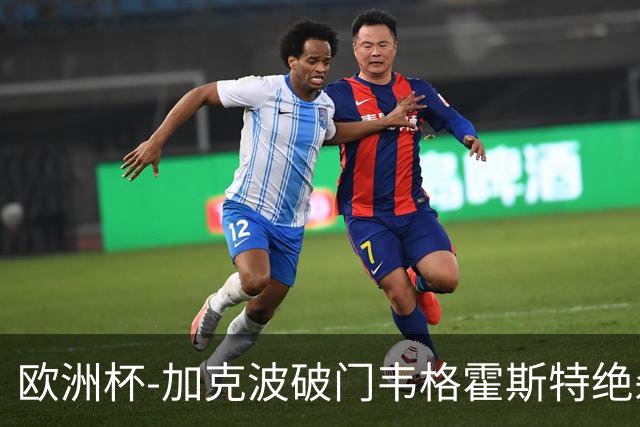 欧洲杯-加克波破门韦格霍斯特绝杀 荷兰2-1波兰